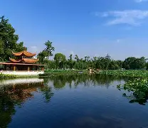 哈登首轮对皇社确定将细节曝光的简单介绍|开元棋牌