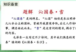 重磅：梅西来袭!换人、点球(梅西替补登场1分钟后点射破门)